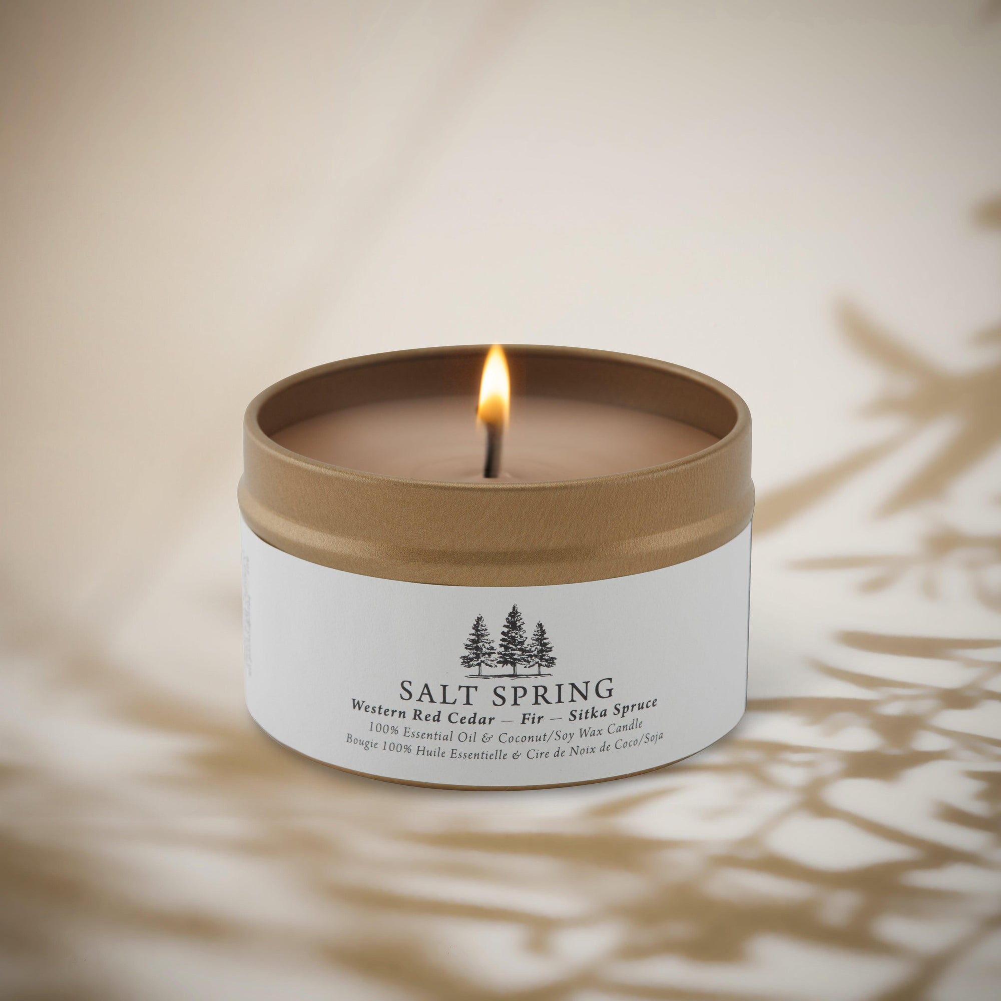 Salt Spring | Western Red Cedar - Fir - Sitka Spruce - Salt Spring Candle Co.