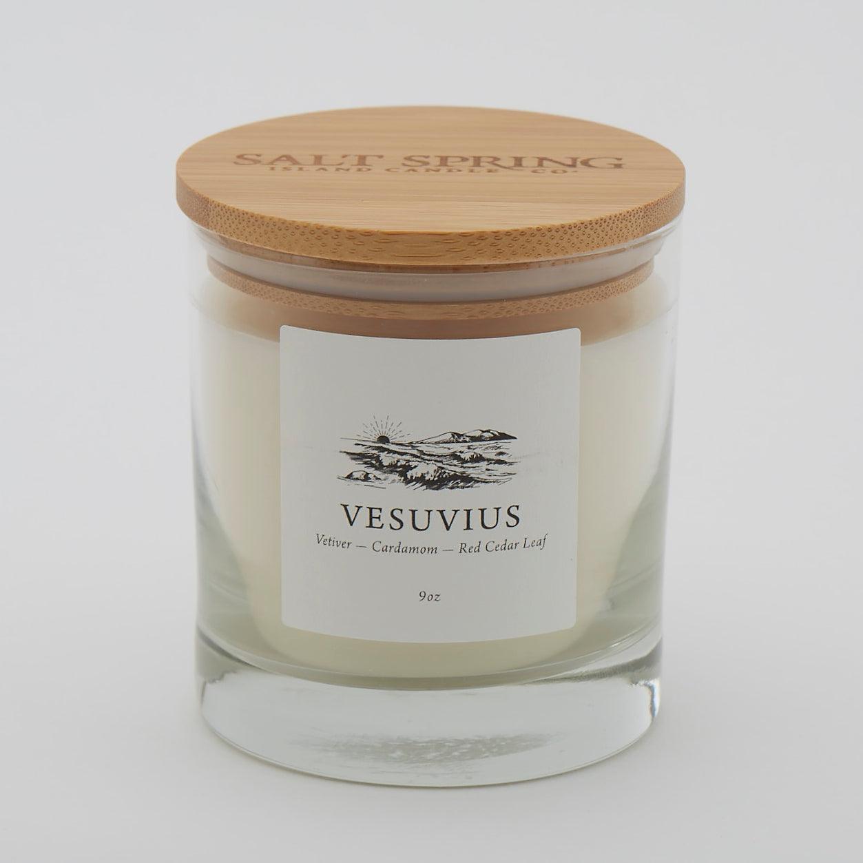 Vesuvius | Vetiver - Cardamom - Red Cedar Leaf - Salt Spring Candle Co.